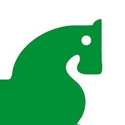Logo Non solo cavallo