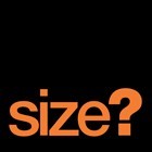 Logo Size?