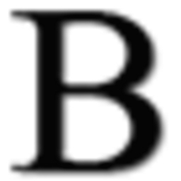 Logo Bertini Group