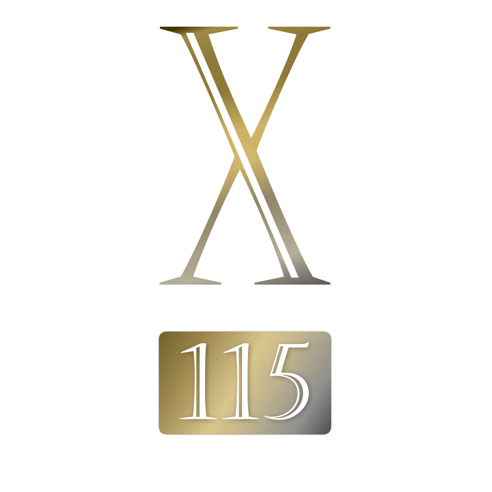 Logo X115