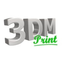 Logo 3DMprint Shop