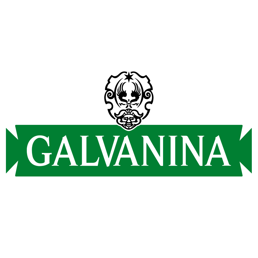 Logo Galvanina