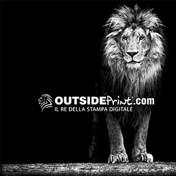 Logo OUTSIDE PRINT