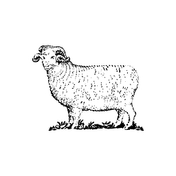 Logo Woolrich