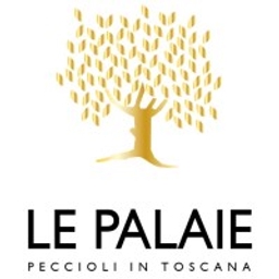 Logo Le Palaie