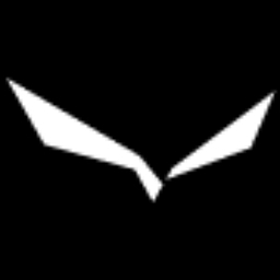 Logo Salewa