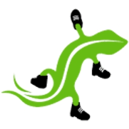 Logo Gecosafe