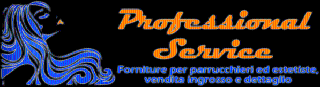 Logo Professional service cb