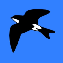 Logo Martinic